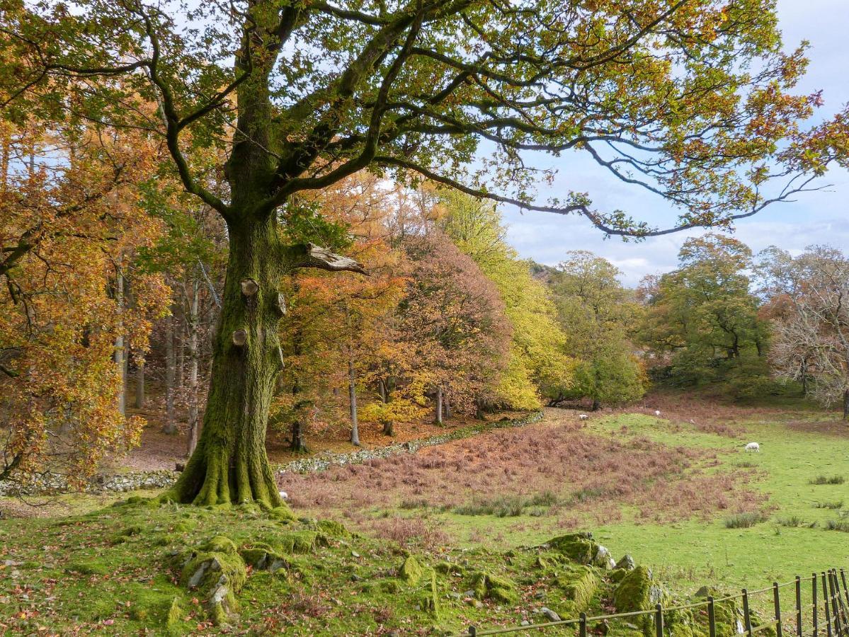 Yew - Woodland Cottages Bowness-on-Windermere Eksteriør bilde