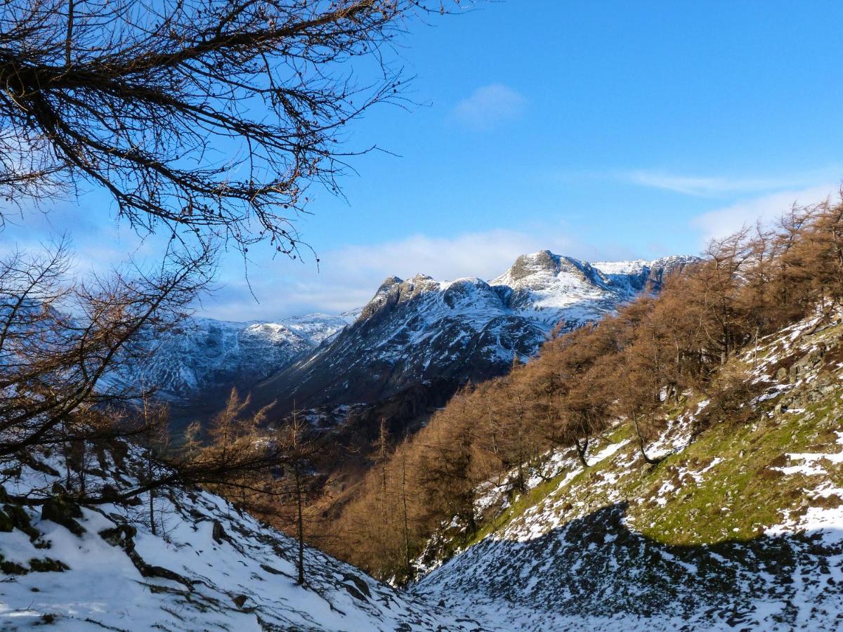Yew - Woodland Cottages Bowness-on-Windermere Eksteriør bilde
